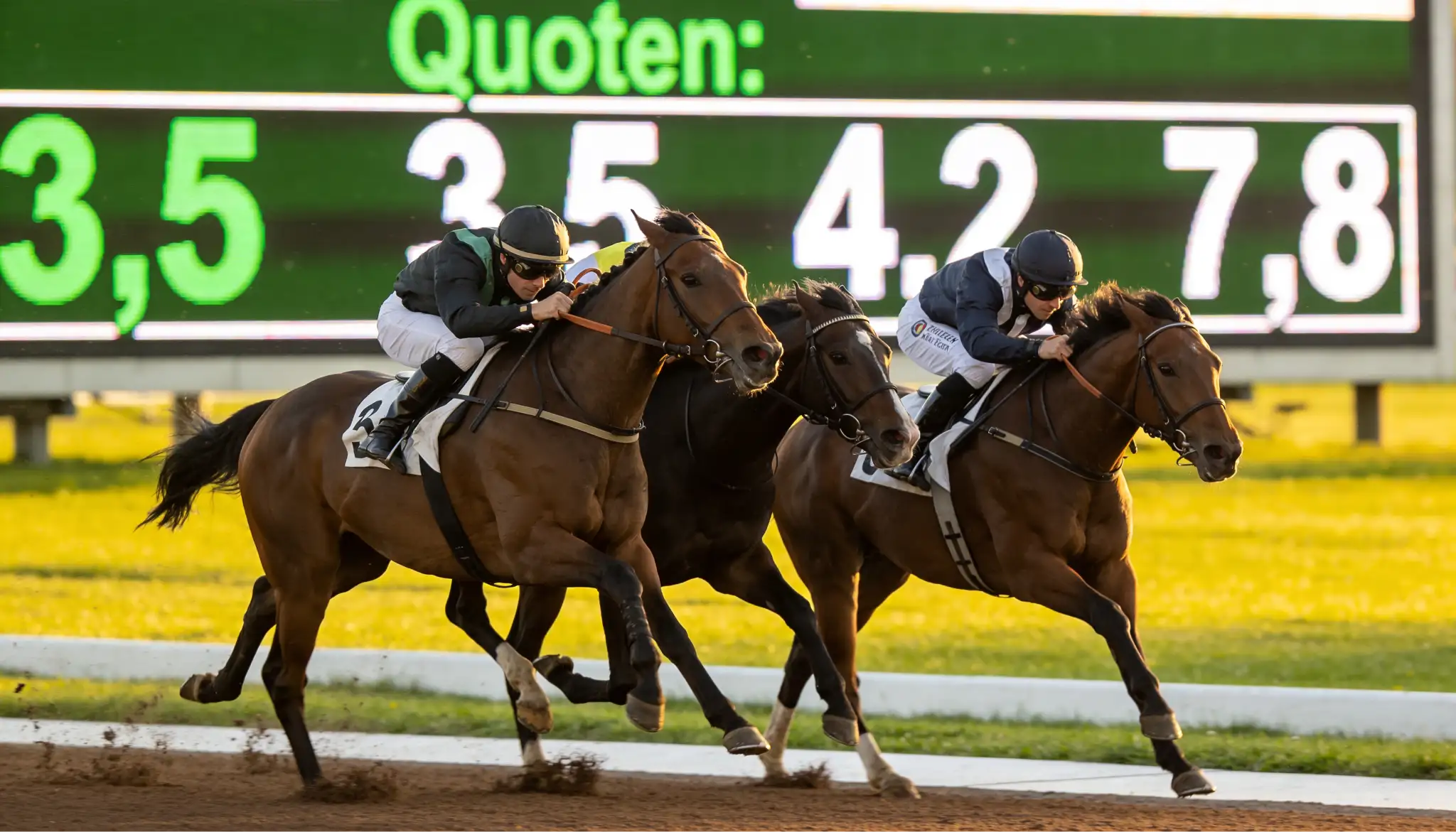 Pferderennen in vollem Galopp auf der Zielgeraden mit Live-Quotenanzeige im Hintergrund