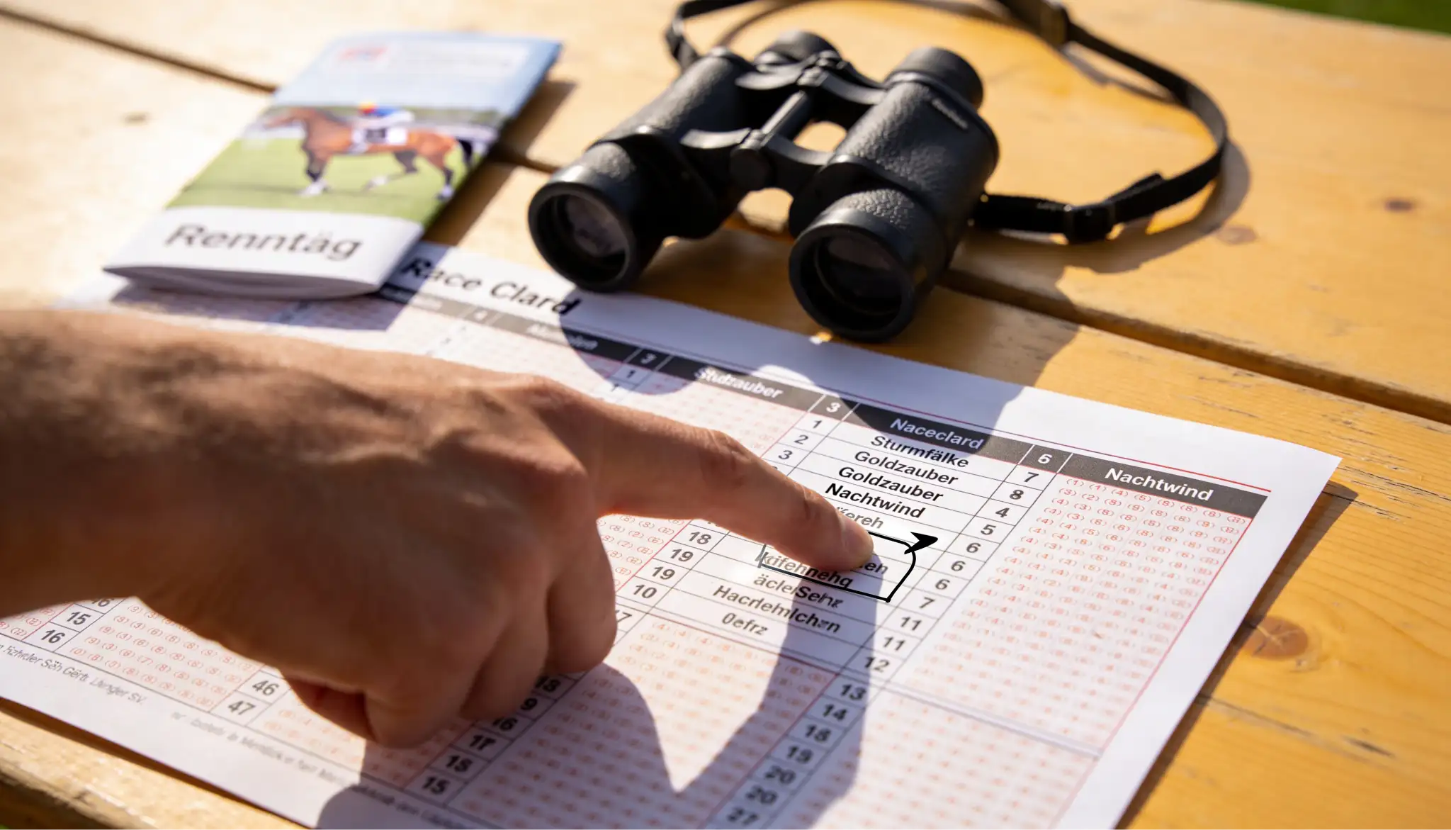 Racecard lesen: Formanalyse und Datenauswertung bei Pferdewetten