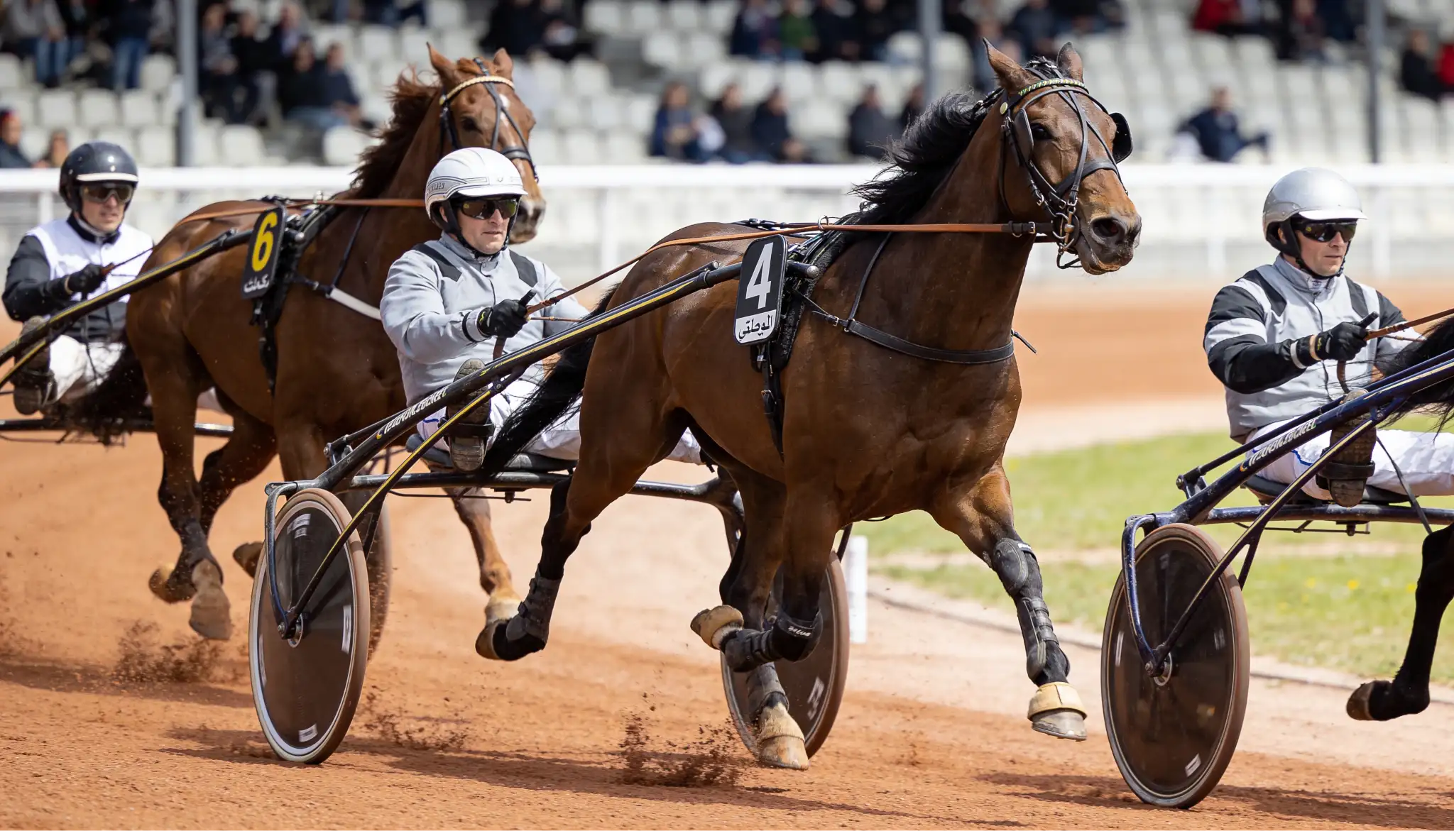 Trabrennen Wetten - Unterschiede zum Galopp und Tipps für Wetter